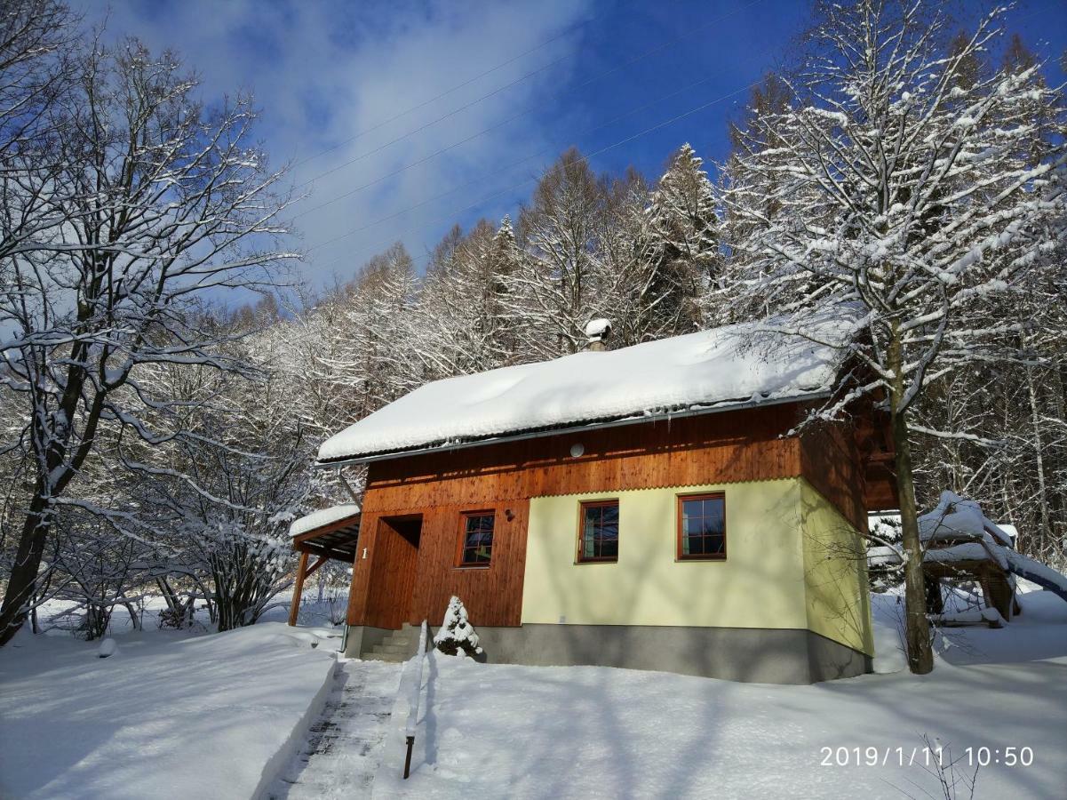 Chata Koutík Loučná nad Desnou Exterior foto